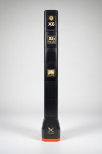 X6 PLUS Ветка AI®